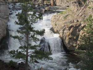 IMG_4591