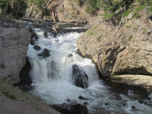 IMG_4593