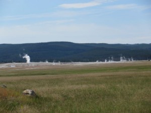 IMG_4601