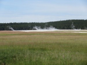 IMG_4603