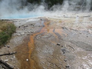 IMG_4610