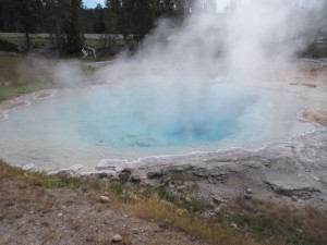 IMG_4611