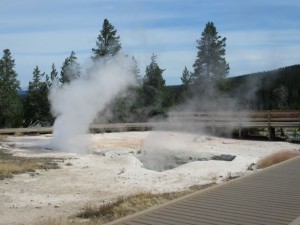 IMG_4624
