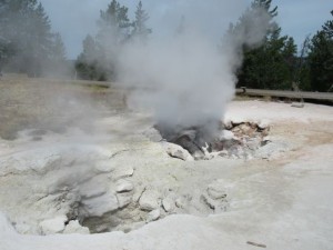 IMG_4627