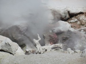 IMG_4628