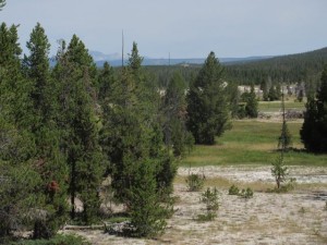 IMG_4659
