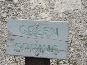 IMG_4739