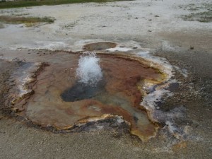 IMG_4743