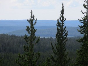 IMG_4779