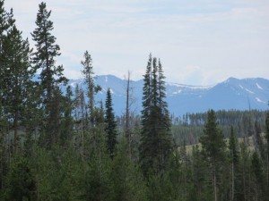 IMG_4781