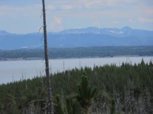 IMG_4784