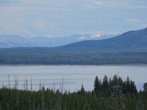 IMG_4785