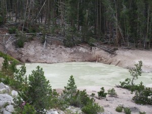 IMG_4887