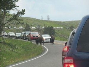 IMG_4918