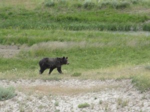 IMG_4941