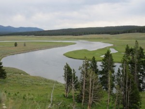 IMG_4956