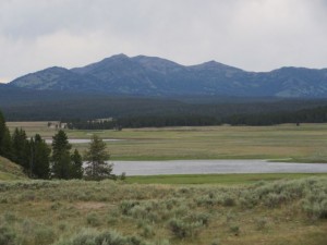 IMG_4958