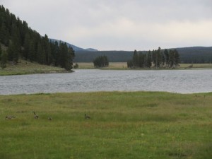 IMG_4962