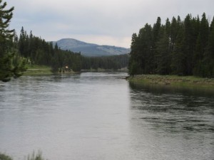 IMG_4964