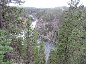IMG_4972