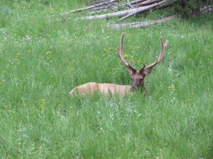 IMG_4979
