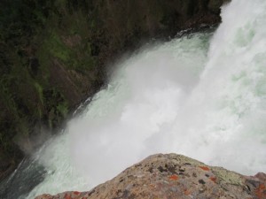 IMG_4986
