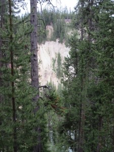 IMG_5016
