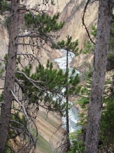 IMG_5023