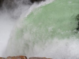 IMG_5037