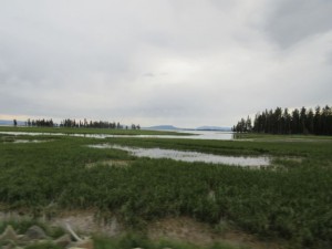 IMG_5051