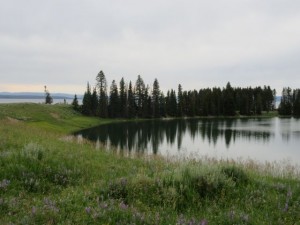 IMG_5056