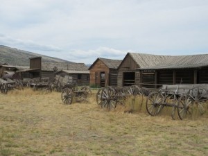 IMG_5082