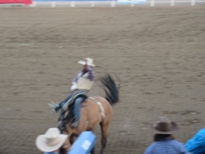 IMG_5268