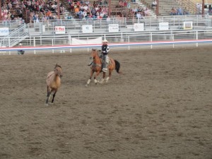 IMG_5269