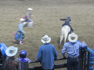 IMG_5293