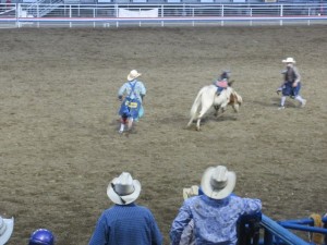 IMG_5294