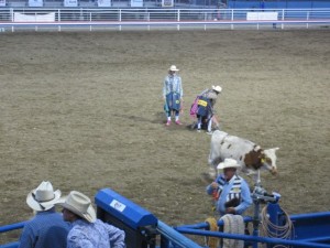 IMG_5295