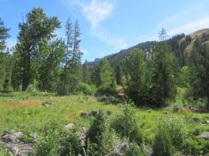 IMG_5376