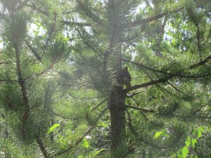 IMG_5380