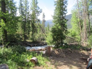 IMG_5383