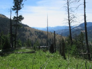 IMG_5437