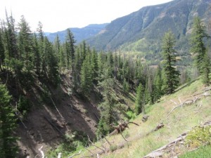 IMG_5474