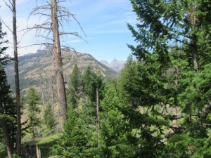 IMG_5484
