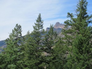IMG_5485