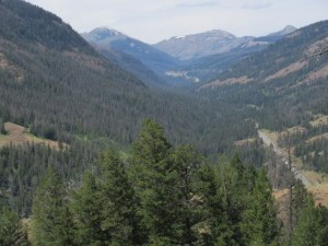 IMG_5500