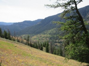 IMG_5504