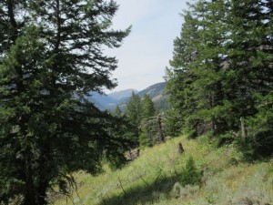 IMG_5527