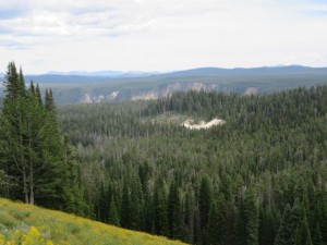 IMG_5573