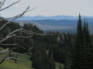 IMG_5582