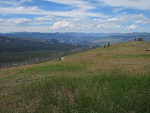 IMG_5603